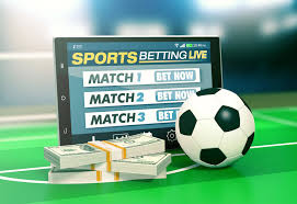 BetWinner Your Gateway to Sports Betting and Exciting Bonuses